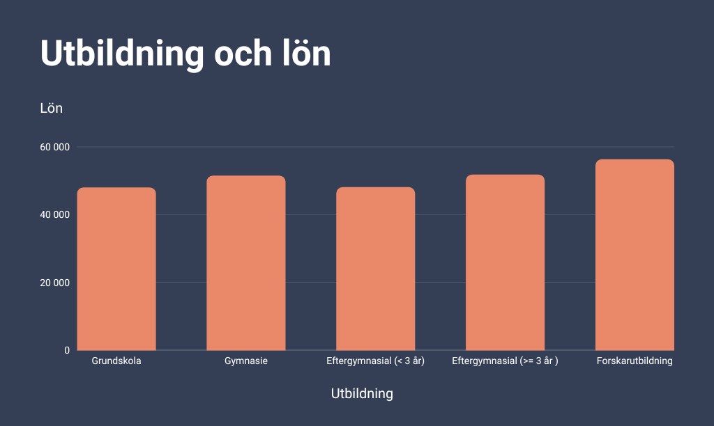 Lönestatistik för programmerare